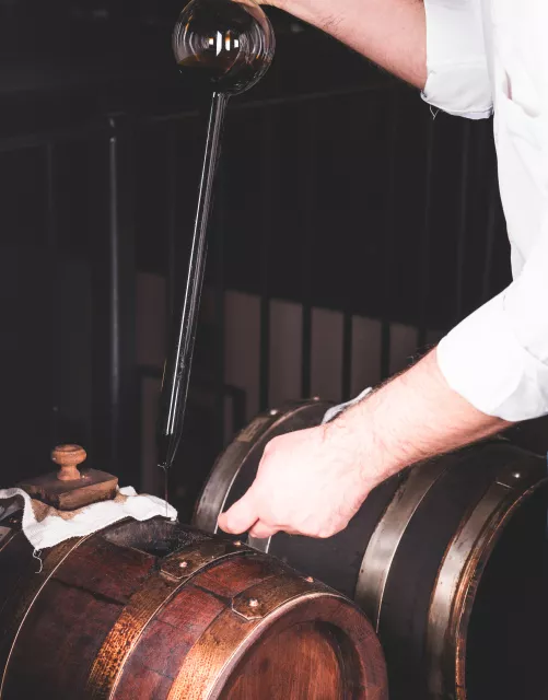 immagine illustrativa - Aceto Balsamico Tradizionale di Modena - ABTM
