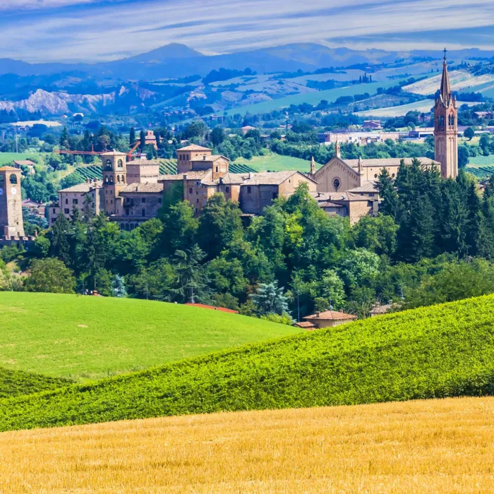 aceto balsamico tradizionale di modena - panorama colline castelvetro