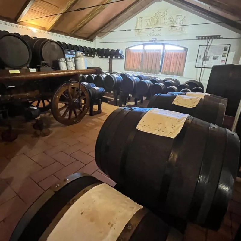 Aceto Balsamico Tradizionale di Modena-Batterie aceto