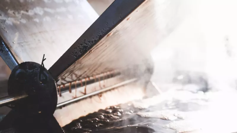 Aceto Balsamico Tradizionale di Modena-Lavorazione uva