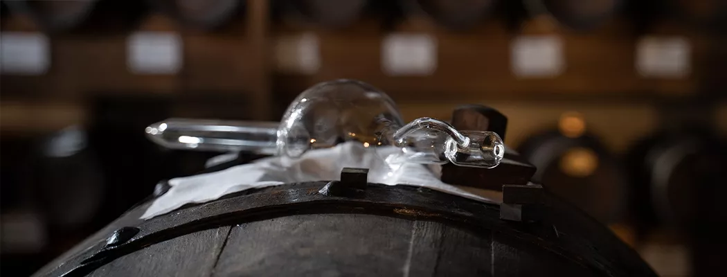 progetti ricerca - aceto balsamico tradizionale di modena dop